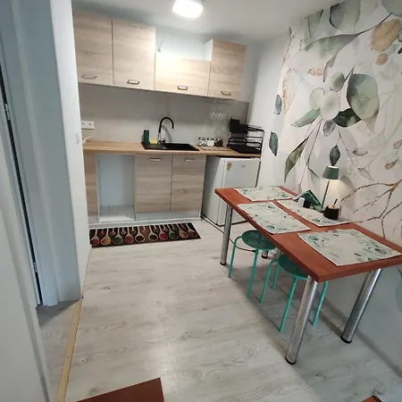 ファームステイ Agroturystyka Tylmanowa *