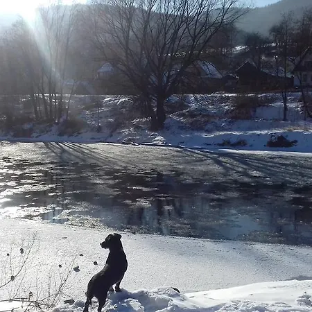 ファームステイ Agroturystyka Tylmanowa *